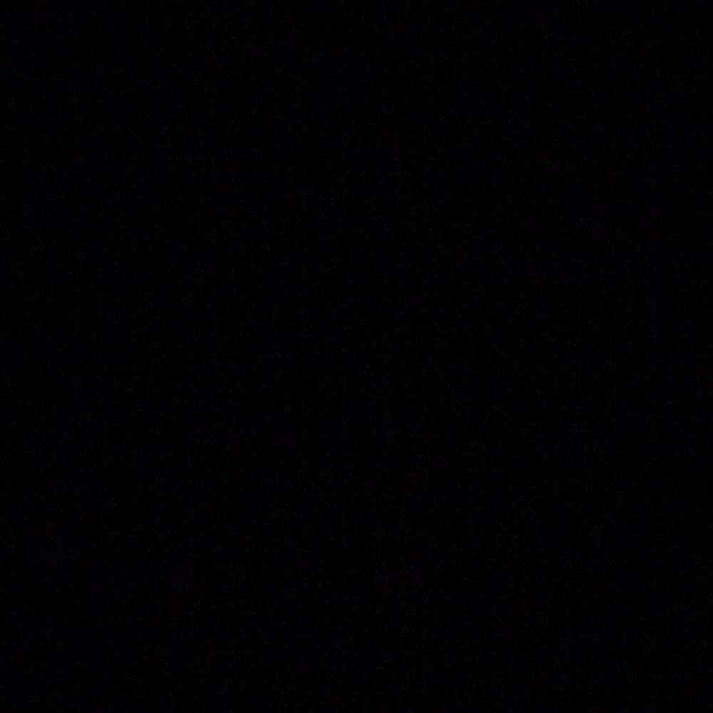 Meet your Posher, Molly